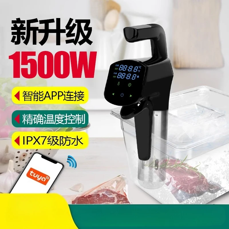 110V/220V 상업용 수비드 머신 고출력 정밀 온도 - Home Cooking Steak 리뷰 및 가격
